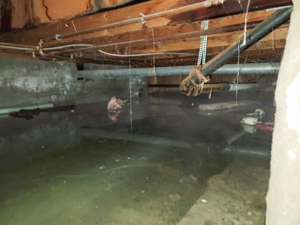 Best 24-hour water damage restoration  in Highwood, IL