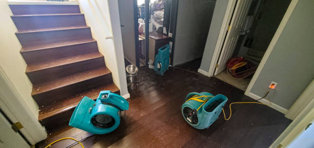 Best Residential water damage restoration  in Highwood, IL