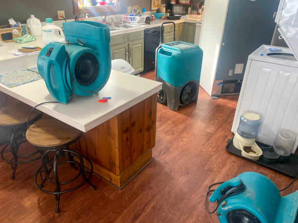 Best 24/7 water damage repair  in Highwood, IL