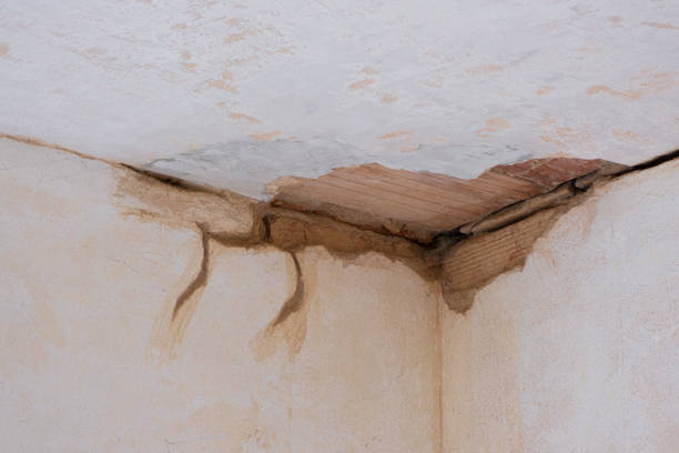 Best Local water damage restoration  in Highwood, IL