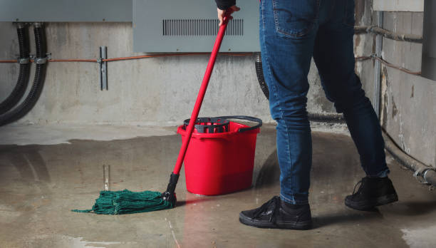 Best Water damage cleanup near me  in Highwood, IL