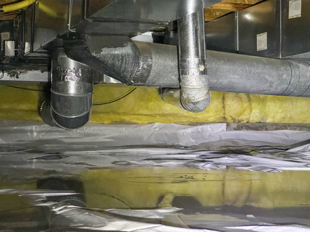 Best Mold removal after water damage  in Highwood, IL