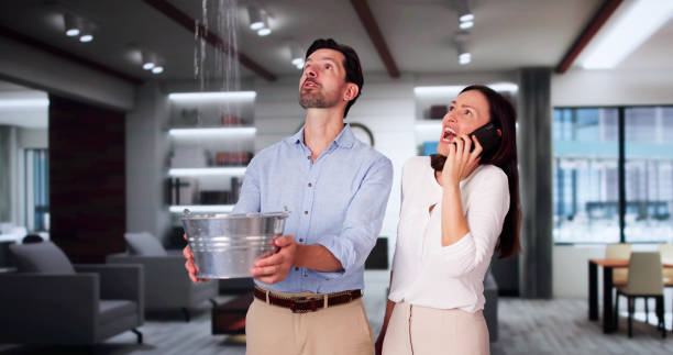 Best Flood damage cleanup  in Highwood, IL
